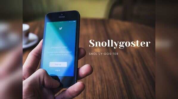 Snollygoster