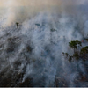 What caused the wildfires