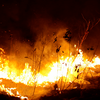 The fires aren't entirely because of climate change