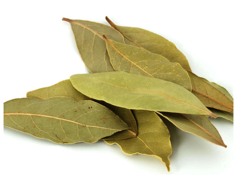 7 Effective Benefits Of Bay Leaves That You Need To Know The Times Of India