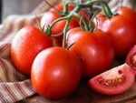 Tomatoes