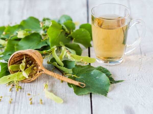 Linden Flower Tea Health Benefits | Best Flower Site