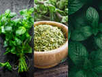 Herbs to speed up your weight loss