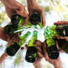 ​Eat something before you start drinking alcohol