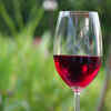 ​Keep sipping water with alcohol