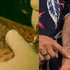 A snake shedding its scales