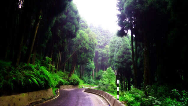Duarsini, a well-kept secret of West Bengal