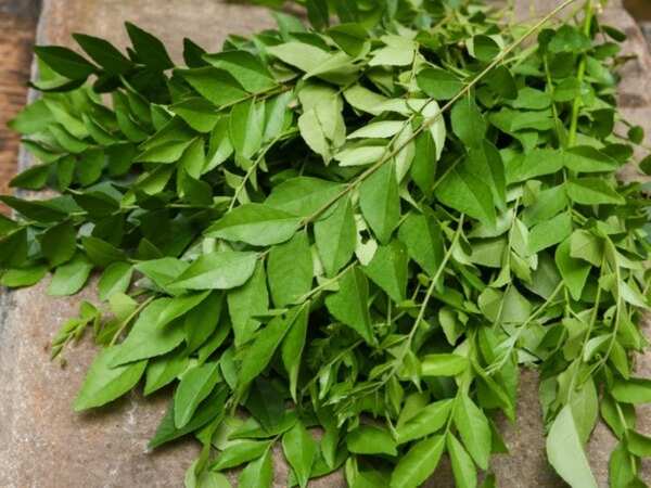 Curry Leaves,nari