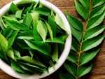 Hair tonic with curry leaves