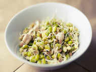 Healthy and tasty sprouts recipes for breakfast