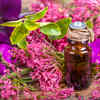 Clary sage