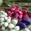 Beans and Lentils