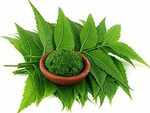 Amla and neem face pack