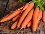 Carrots