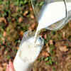 ​Aids in weight loss and muscle gain