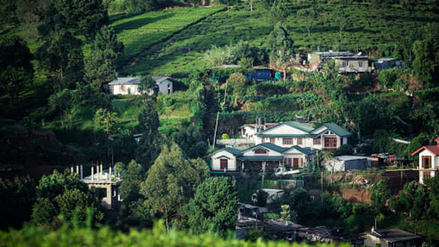 Assam Tourism Department to open 28 homestays on World Tourism Day