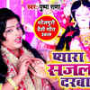 Article image for: Latest Bhojpuri Song 'Pyara Sajal Darbar' Sung By <i class="tbold">pushpa rana</i>