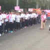 Article image for: <i class="tbold">october</i> goes pink against breast cancer
