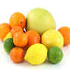 Citrus fruits