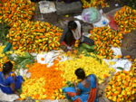 Dadar's Flower Market