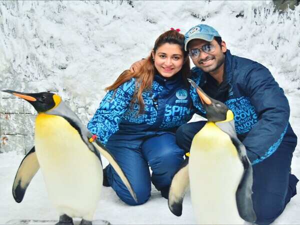 Oindrila Sen Wallpapers