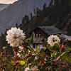 Himachal has so much to offer