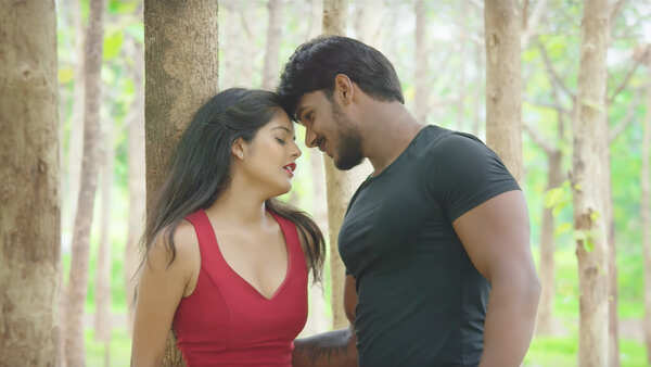 Dandam Movie Review: Of action and drama