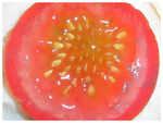 Seeds to Avoid: Tomato Seeds