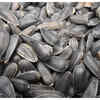 Sunflower Seeds