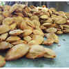 Other Fruit Seeds