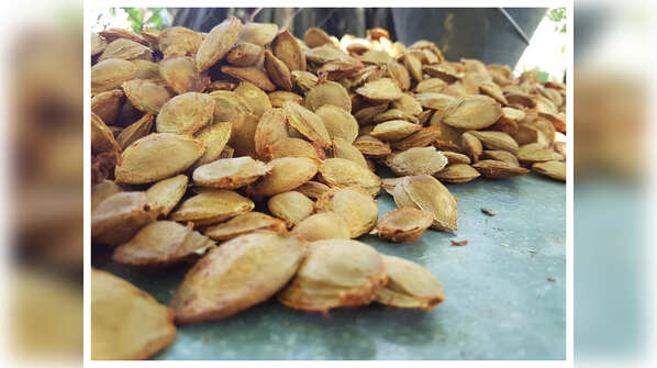 Other Fruit Seeds