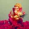 Puja Vidhi