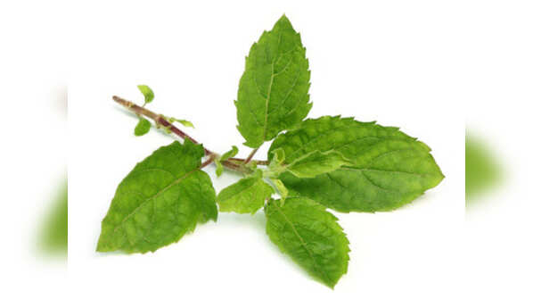 Use tulsi leaves