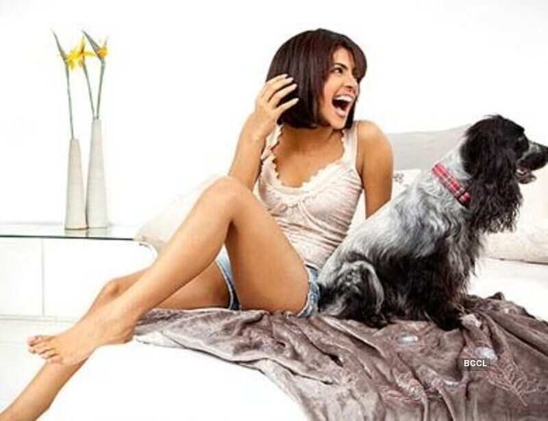 B'wood bigwigs on TV in 2010