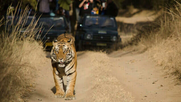 MP scores a spot in the list of Top 3 Best Value Destinations of the world