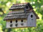 Build a birdhouse