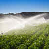 Increased use of water