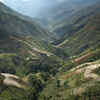 Less area to grow crops