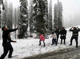 In pics: Season's first snowfall drapes Kashmir in white blanket 