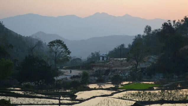 You can now go for night tours in the forests of Araku Valley aka Ooty of Andhra Pradesh