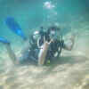 Diving Deep