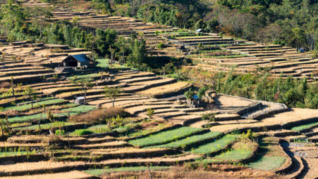 Nagaland launches portal for ILP to facilitate travel for domestic tourists