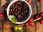 Coffee beans are actually cherry seeds