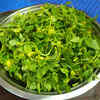 Article image for: <i class="tbold">fenugreek</i>