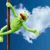 Try pole dancing 