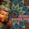Article image for: Hindi Krishna Bhajan Song 'Gopal <i class="tbold">Radhe Krishna</i>' Sung by Anup Jalota