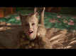 Cats - Official Trailer
