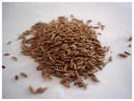 What is adulterated cumin?