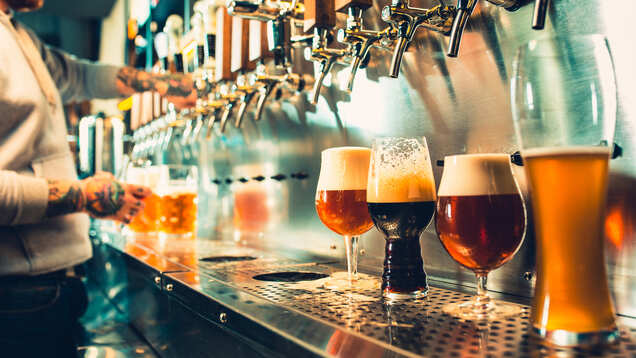 Andhra Pradesh to cut down the number of bars by 40 per cent in phased manner