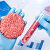 What is lab grown meat and is it healthy?